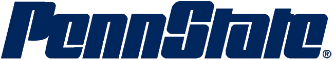 Penn State Nittany Lions 2005-Pres Wordmark Logo DIY iron on transfer (heat transfer)